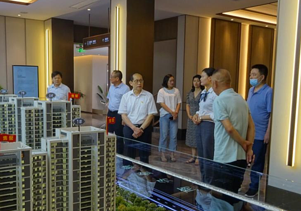 付兵一行到商城等四县调研指导工作